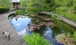 CastlebankGardensGroupOpening3-2-low-res