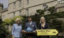 DuchessofRothesayGardenslowres