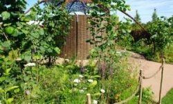 Hampton-Show-garden