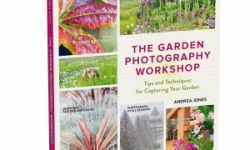 web-low-res-The-Garden-Photography-Workshop-©-Andrea-Jones