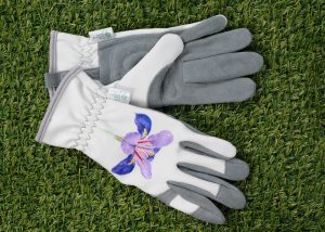 Malvern glove
