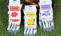 The-RHS-Collection-from-Gold-Leaf-Gloves