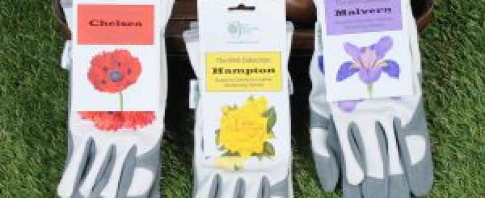 The-RHS-Collection-from-Gold-Leaf-Gloves