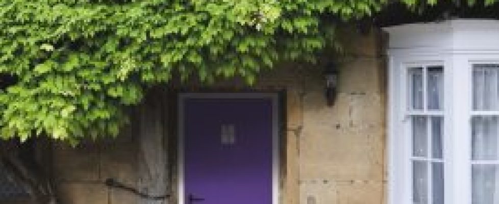 Truedor-TR1K-Purple-Reflections-1-crop-high