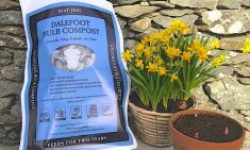 Finalist-New-Product-of-the-Year-Bulb-Compost-Image-1