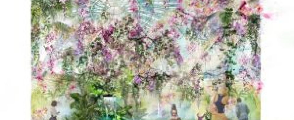 Orchid display in the Great Conservatory at RHS Chatsworth Flower Show