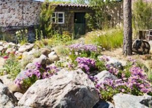 RHS Hampton Court Palace Flower Show 2018 - Galicia Garden