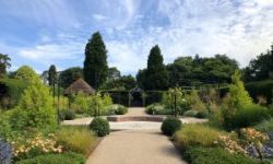 Centenary-garden-