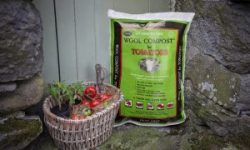 Wool-Compost-for-Tomatoes-steps