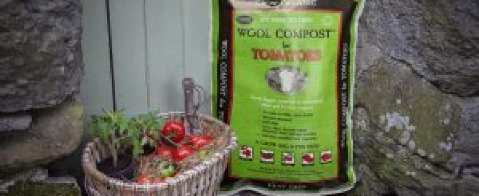 Wool-Compost-for-Tomatoes-steps