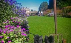 Head-Gardener-boots