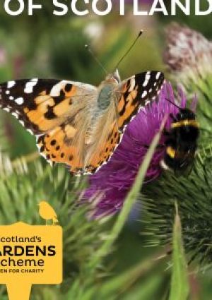 2020-Guidebook-Cover-