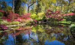 Bottom-pond-in-spring-Exbury-Gardens-©CathrynBaldock-med-res-1