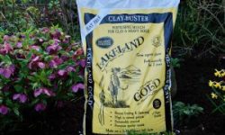 Lakeland-Gold-2020-low-res