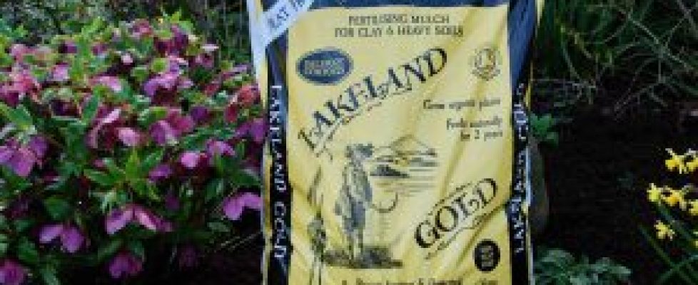 Lakeland-Gold-2020-low-res