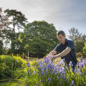 Getting the flags out: 200-acre Exbury Gardens to reopen to the public on Saturday 30 May