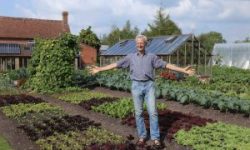 Charles in his no dig garden with lettuce and other vegetables September