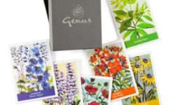 Seeds-in-a-Box-Genus-HiRes-1