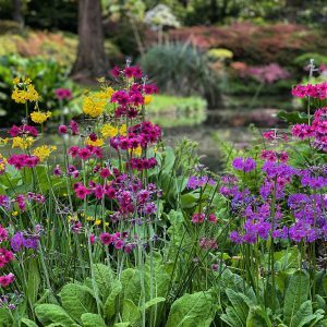 Discover new woodland wonders, family nature trails and dazzling spring colour at Hampshire’s Exbury Gardens in 2021