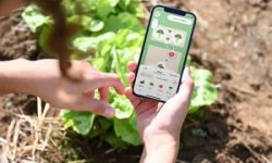 Fryd_App-for-Bed-Planning