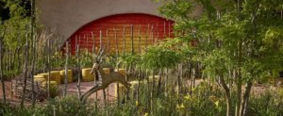 6.-The-Lion-King-25-Anniversary-Community-Garden-by-Juliet-Sargeant-c-Alister-Thorpe