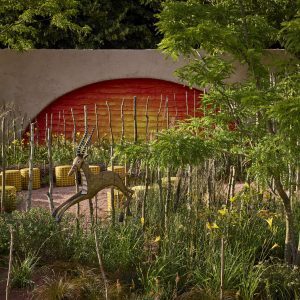 Disney’s The Lion King community garden opens at RHS Hampton Court Palace Garden Festival marking 25 years of the iconic West End show