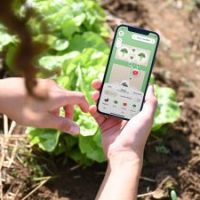 Fryd_App for Bed Planning