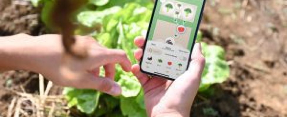 Fryd_App for Bed Planning